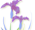 �Ҋ��̉B�ҁ`�f�G�Șa�H��̂��X�ł��B�B�B