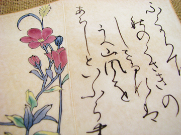 鍋島特有の繊細な花の絵付けも、優しい筆のタッチと綺麗な錦が 『粉引』 の背景に素敵にマッチして魅力的です。