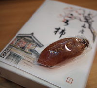 能登半島の名産品『ころ柿』 能登半島の名産品『ころ柿』