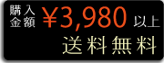 購入金額３,９８０円以上で送料無料