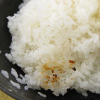 ��������w�������x���o���Ă��܂�